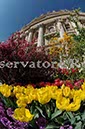 %_tempFileName19523_07042010%