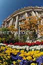 %_tempFileName19529_07042010%