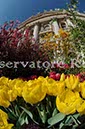 %_tempFileName19533_07042010%
