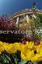 %_tempFileName19535_07042010%