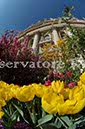 %_tempFileName19536_07042010%