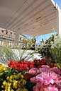%_tempFileName20168_07042010%