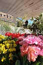 %_tempFileName20175_07042010%