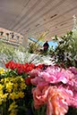 %_tempFileName20176_07042010%