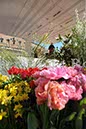 %_tempFileName20177_07042010%