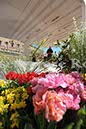 %_tempFileName20178_07042010%