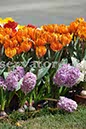 %_tempFileName20270_07042010%