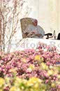 %_tempFileName20317_07042010%