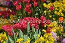 %_tempFileName20442_07042010%