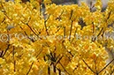 %_tempFileName20445_07042010%