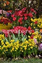 %_tempFileName20450_07042010%
