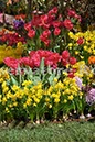 %_tempFileName20451_07042010%