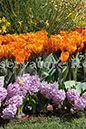 %_tempFileName20452_07042010%