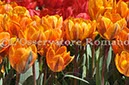 %_tempFileName20453_07042010%