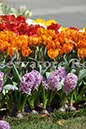%_tempFileName20454_07042010%