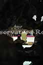%_tempFileName06669_10022010%