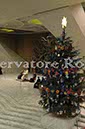 %_tempFileName01297_13012010%