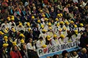 %_tempFileName02557_20012010%