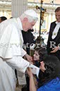 %_tempFileName36511_26052010%