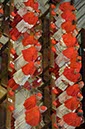 %_tempFileName06605_21112010%