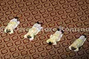 %_tempFileName01031_06012013%