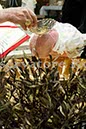 %_tempFileName02033_13012013%
