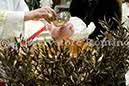 %_tempFileName02035_13012013%