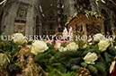 %_tempFileName01000_24122014%