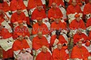 %_tempFileName03677_22022014%