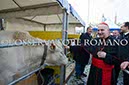 %_tempFileName00182_17012015%