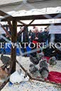 %_tempFileName00195_17012015%