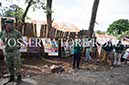 %_tempFileName07437_27112015%