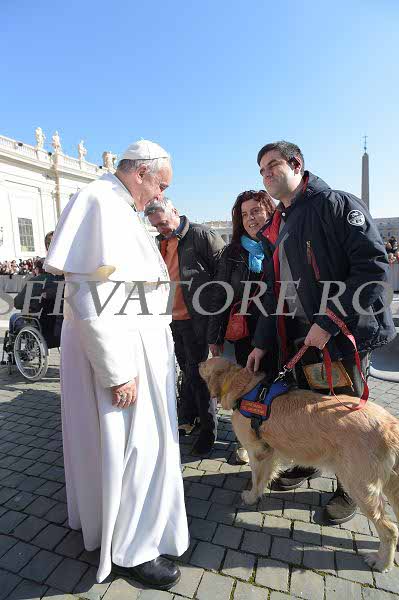 %_tempFileName041133_18022015%