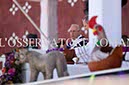 %_tempFileName16377_15022016%