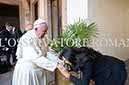 %_tempFileName22101_16022016%