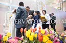 %_tempFileName28762_17022016%