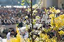%_tempFileName81634_30032016%