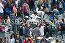%_tempFileName04655_24042016%