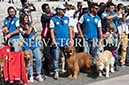 %_tempFileName198355_08062016%