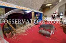 %_tempFileName04293_16062016%