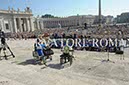 %_tempFileName00556_03092016%