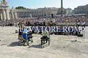 %_tempFileName00564_03092016%