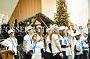 %_tempFileName04336_15122016%