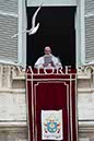 %_tempFileName04446_08012017%
