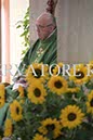 %_tempFileName00290_05102017%