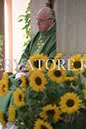 %_tempFileName00291_05102017%