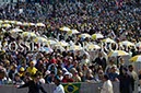 %_tempFileName03146_15102017%