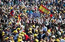 %_tempFileName03447_15102017%