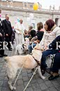 %_tempFileName340472_18102017%