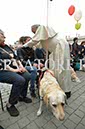 %_tempFileName340800_18102017%